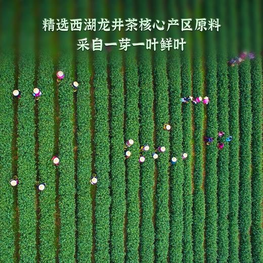 龙冠 金碗钉-G30纯茶礼盒200g（50g*4） 商品图4