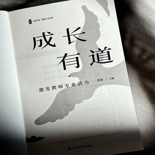 成长有道 激发教师专业活力 大夏书系 李淳 教师专业发展 商品图5
