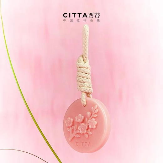 CITTA/西苔桃花衣柜香薰香片蜡片净化空气持久留 商品图3