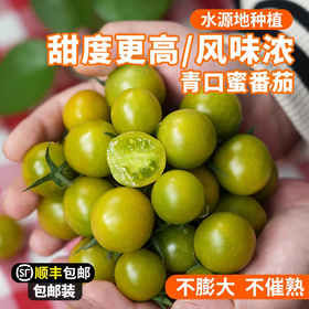 青口蜜小番茄 皮脆爆汁 酸甜可口 自然成熟 不打膨大剂  番茄味浓郁 清甜2号 绿圣女果 包邮
