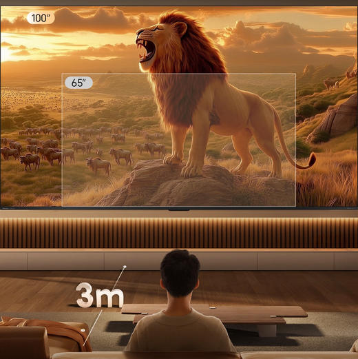 海信（Hisense）电视 100E3Q Pro 商品图2