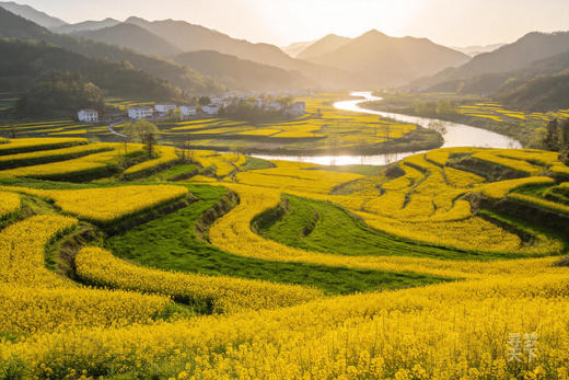 春色陕南 画里春光：  古都西安 ・汉中油菜花・朱鹮・凤堰古梯田 9 天摄影创作之旅 商品图4