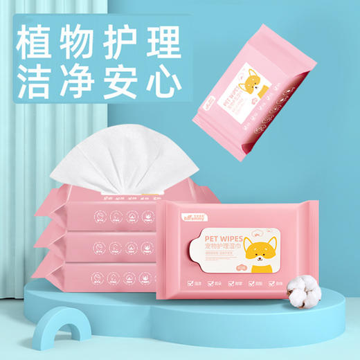 宝莱美露湿巾40抽 无酒精无刺激犬猫通用 商品图4