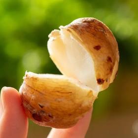 直接吃清热气，煮一煮润肺腑！