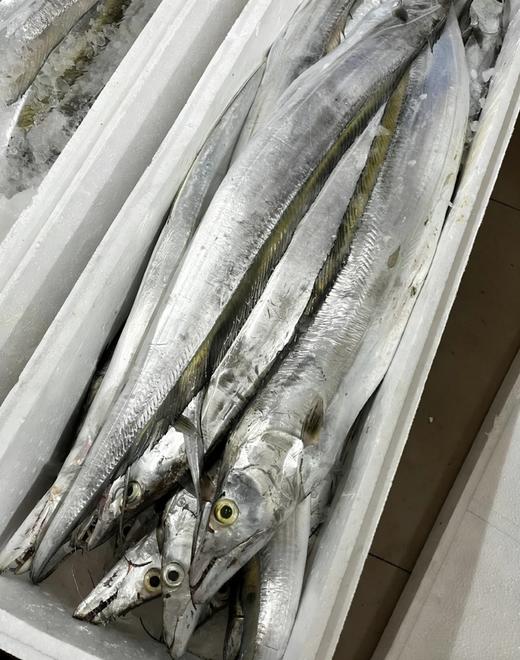 & 海钓青张大带鱼🐟宽厚肥美，肉质特别细嫩，清蒸，干煎，红烧都好吃😋 商品图3