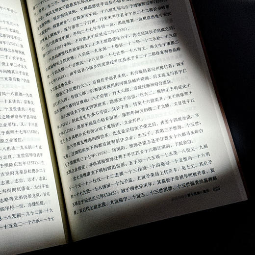 中国南方的宗谱与族群源流 王铁 商品图12