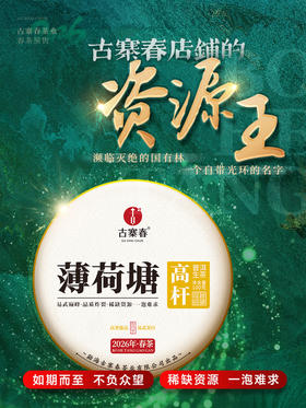【薄荷塘高杆】2026年春茶预售重磅升级为高杆产品未被矮化的稀缺产品，树高全部超10米，薄荷塘二类高杆，媲美I类品质100克/饼 5饼/提