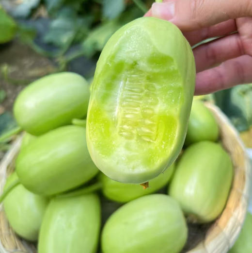 【基地直发】山东玉女小黄瓜，脆嫩多汁，自带清甜回甘，无涩腥，颠覆你对黄瓜的想象! 亦蔬亦果，解腻轻脂，净重3斤/4斤泡沫箱+网套 商品图4