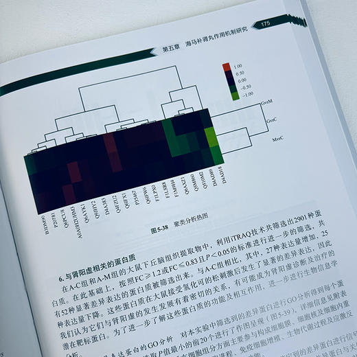 海马补肾丸二次开发研究 商品图4