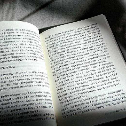 成长有道 激发教师专业活力 大夏书系 李淳 教师专业发展 商品图12