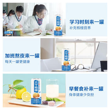 养元六个核桃 精品型核桃乳植物蛋白饮料240ml*24 整箱装 /水饮冲调 /饮料 /植物蛋白饮料 商品图4