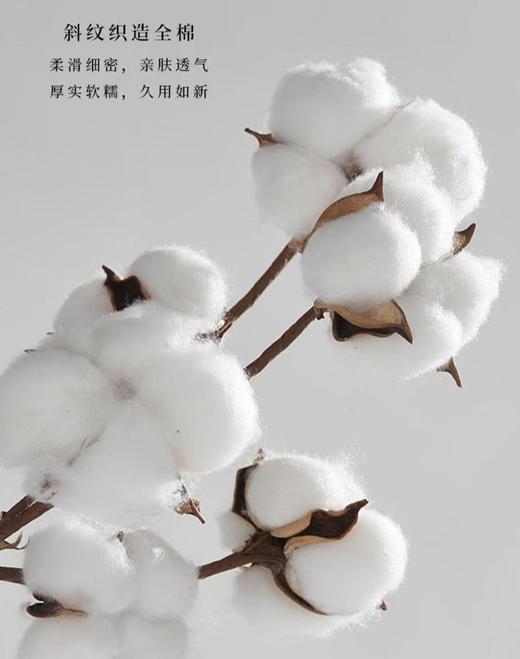 6F堂皇  星遥  全棉四件套 商品图1