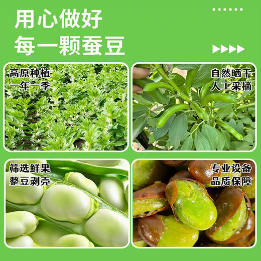 【8袋分享装❗️香酥绿心蚕豆】精选人工采摘的优质蚕豆，壳薄开口设计，轻松剥开，入口香酥不腻，外酥里嫩，越嚼越香开袋即食炒货酥脆可口粒粒饱满休闲QQ 商品图2