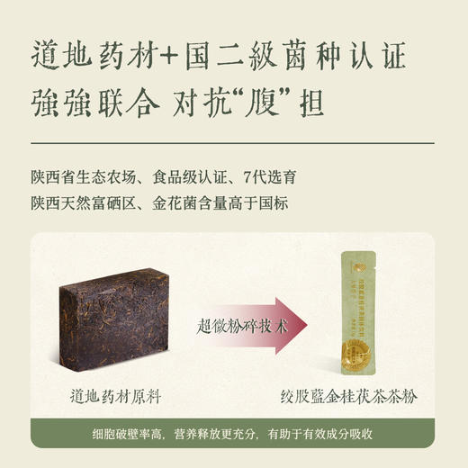 ² 【绞股蓝黑茶】 餐后来一条 四大草本原料 道地药材原料 20条/盒  HM02-CRMM-MJSW 商品图3