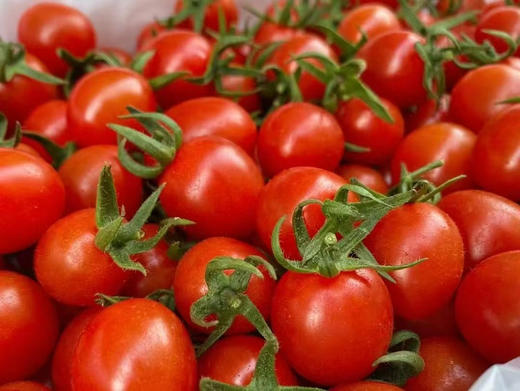 釜山88小番茄🍅一款自带减肥瘦身功效的健康水果，皮薄肉嫩，狂野浓郁的番茄气息，入口爆汁 商品图1