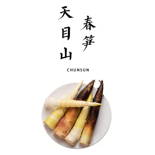 天目山春笋｜临安原产 头茬鲜笋 | 原生态 带露采挖 | 精修锁鲜【基地直发】 商品图0