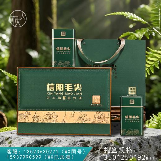 33元一套 / 一箱16套 自然知味【信阳毛尖 绿色 二合一】 商品图0