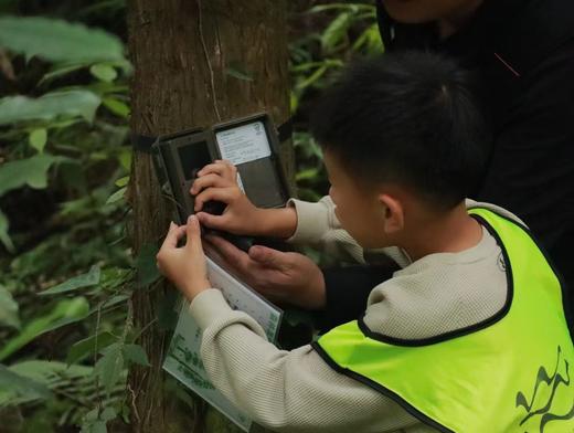 3.15前减200！4.1/4.2/4.5少位！2天1夜一价包【崇州·琉璃坝-熊猫科考&萤火虫季】 1大1小限时899元！探索大熊猫国家公园核心区、畅游萤火之森，住野奢帐篷，吃战斧牛排，酿桂花酒，挖笋 商品图10