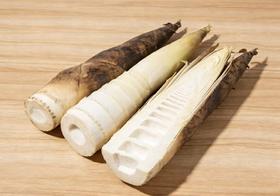 天目山春笋｜临安原产 头茬鲜笋 | 原生态 带露采挖 | 精修锁鲜