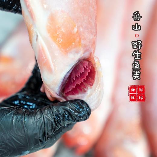 【闹妈海鲜】舟山热气海鲜红带鱼肉肥刺少 油润 一斤1-2条左右 商品图2