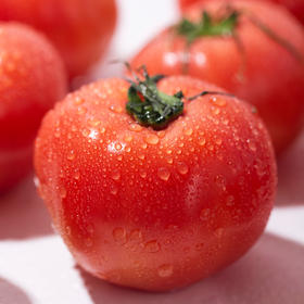 普罗旺斯西红柿 净重4-4.5斤大果  A-5856