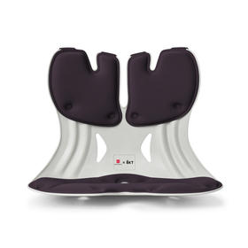 BKT 人体工学护腰坐姿椅 加大版 摩卡黑 故宫宫廷联名款