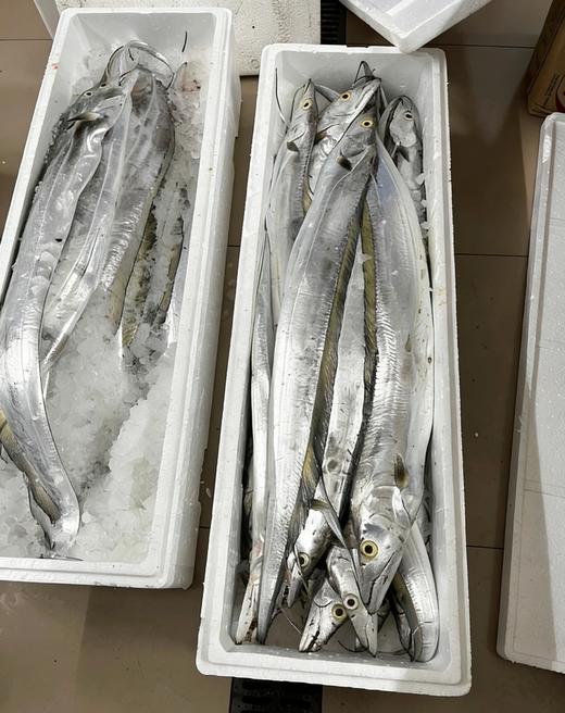 & 海钓青张大带鱼🐟宽厚肥美，肉质特别细嫩，清蒸，干煎，红烧都好吃😋 商品图12