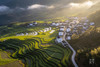 春色陕南 画里春光：  古都西安 ・汉中油菜花・朱鹮・凤堰古梯田 9 天摄影创作之旅 商品缩略图3