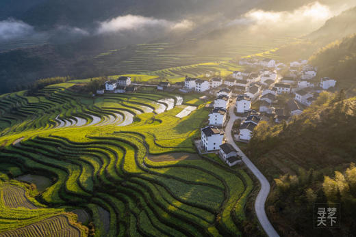 春色陕南 画里春光：  古都西安 ・汉中油菜花・朱鹮・凤堰古梯田 9 天摄影创作之旅 商品图3