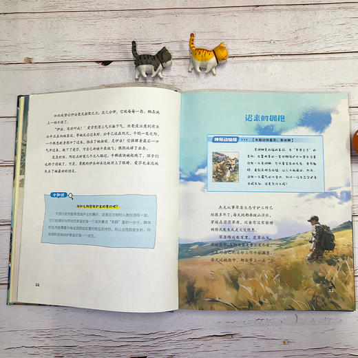 【精装】万物有灵 商品图4