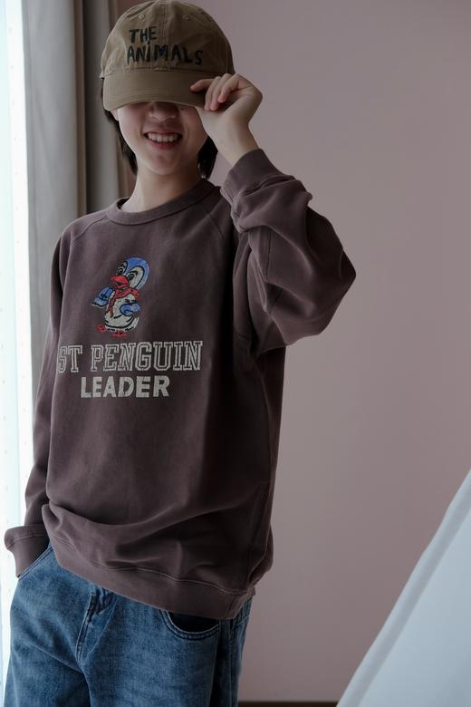 【小大人舒适圈】2026春DD日系儿童卫衣！复古水洗做旧印花刺绣企鹅圆领长袖毛圈卫衣！ 商品图3