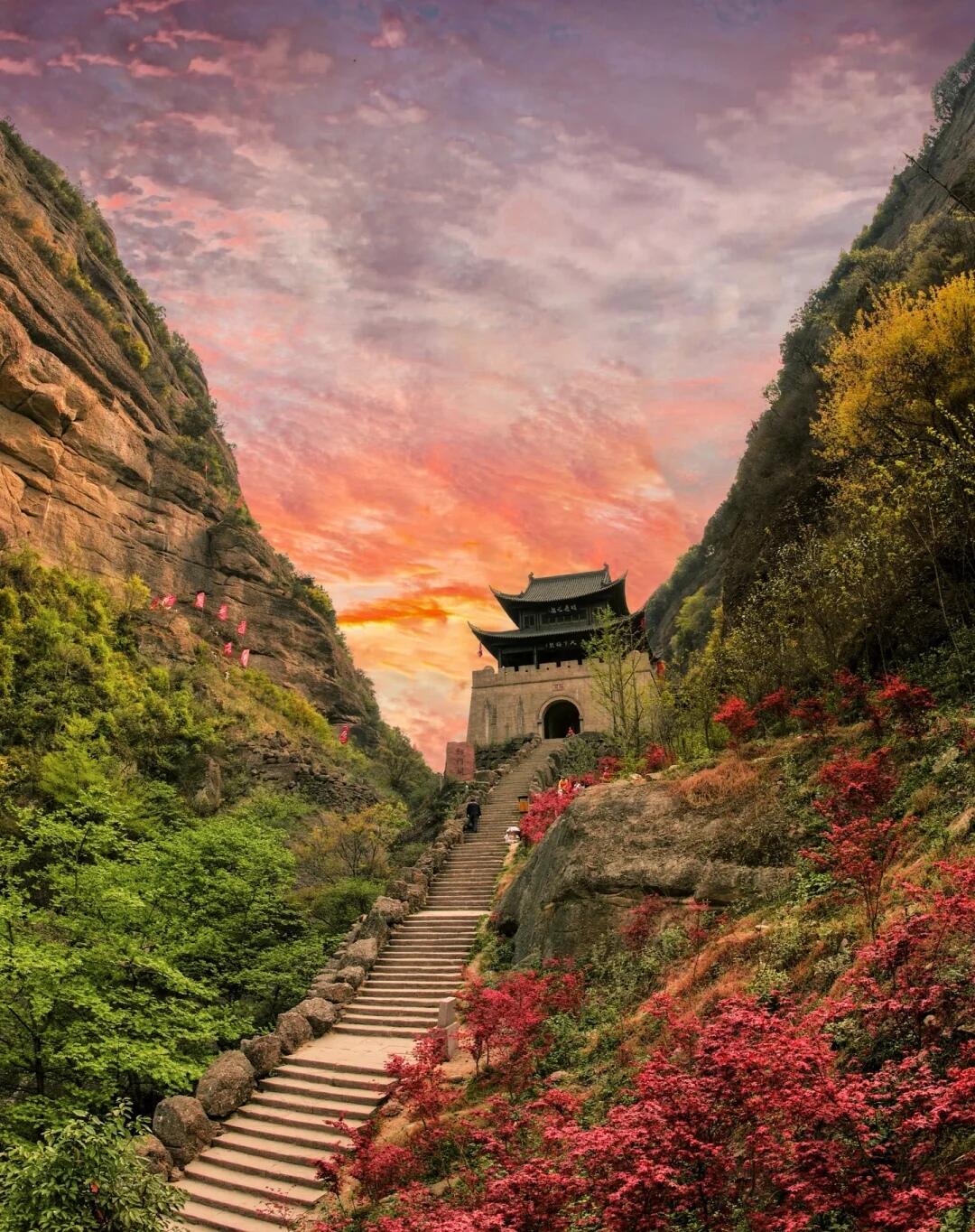 春假专场4.1-4.3【山野趣多多：剑门关+唐家河】3天2夜自然科普独立营：打卡剑门雄关、走进唐家河野生动物天堂，深入森林探寻濒危珍稀动物！跟踪足迹，测量采集动物踪迹，野外红外相机实践，对话高山向导！