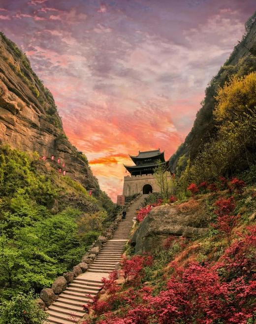 春假专场4.1-4.3【山野趣多多：剑门关+唐家河】3天2夜自然科普独立营：打卡剑门雄关、走进唐家河野生动物天堂，深入森林探寻濒危珍稀动物！跟踪足迹，测量采集动物踪迹，野外红外相机实践，对话高山向导！ 商品图0