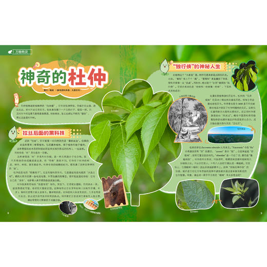 《大英百科少儿探索杂志：动动画世界》12期征订 商品图8