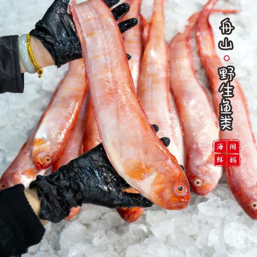 【闹妈海鲜】舟山热气海鲜红带鱼肉肥刺少 油润 一斤1-2条左右 商品图1