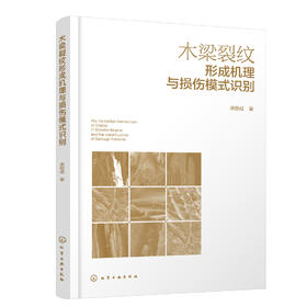 木梁裂纹形成机理与损伤模式识别