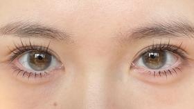 cocoflora半年抛美瞳 诗意山茶 14.2mm