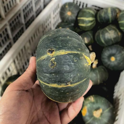 青小贝•贝贝南瓜（B级果）一批有点丑，但巨香甜的货 商品图5