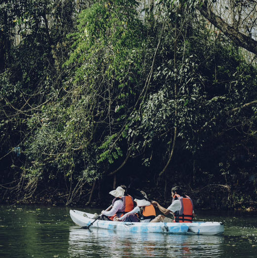 云南｜版纳5公里原始森林漂流1日体验，需自驾到达起始点，回宽老寨皮划艇穿越原始雨林、灌木群落，沿途野趣观鸟体验，漂流南腊河上游，解锁雨林生灵之美！亲子成人都适合，五一端午行程提前预定！ 商品图10