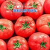 普罗旺斯西红柿（发京东）#果肉绵密起沙，一咬就爆汁，不硬不柴、正宗品种，现摘现发 商品缩略图3