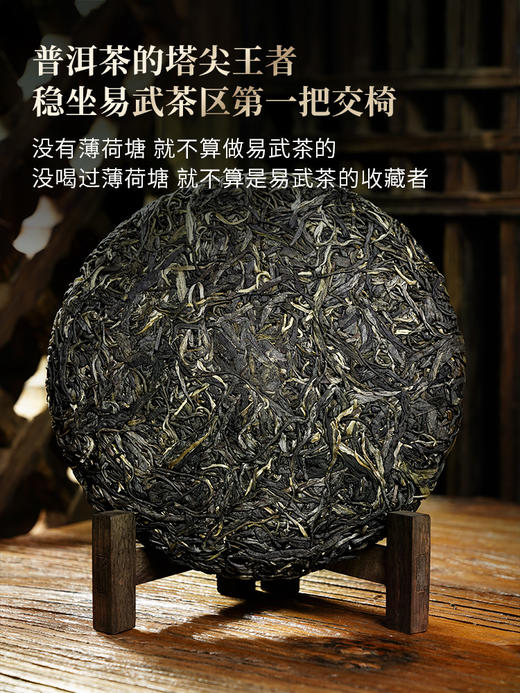 3月5日中午12点【薄荷塘高杆】2026年春茶预售重磅升级为高杆产品未被矮化的稀缺产品，树高全部超10米，薄荷塘二类高杆，媲美I类品质100克/饼 5饼/提 商品图8