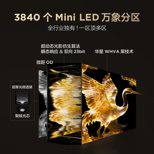 【FFALCON雷鸟】98鹤7 PRO 26款 98英寸 极景QD-MiniLED 蝶翼华曜屏 万象分区 平板电视机98R79A Pro 商品图4