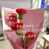 鲜花系列19.99元（颜色随机） 商品缩略图0