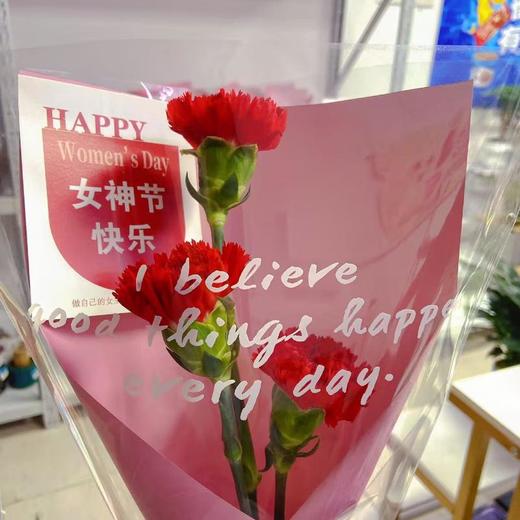 鲜花系列19.99元（颜色随机） 商品图0