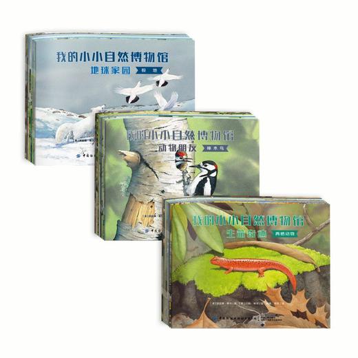 我的小小自然博物馆 全24册 地球家园 动物朋友 生命奇迹3-6岁文学自然科普书 自然知识 丰富孩子知识面 趣味百科动物绘本大班阅读 商品图1