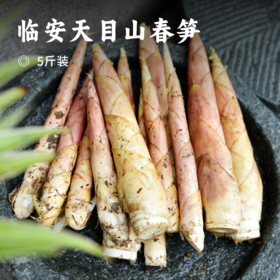 临安天目山春笋 | 春季限定美味 正宗原产地现挖现发 皮薄肉厚鲜嫩美味 精挑细选去除老根 煲汤炒菜皆成美味