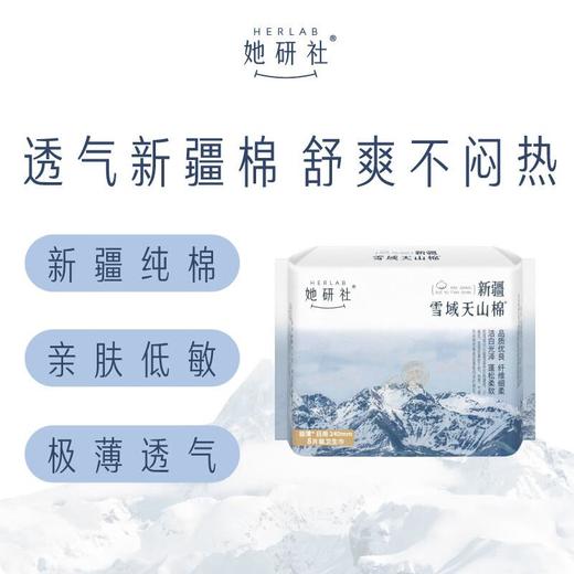 她研社雪域天山棉卫生巾迷你19 商品图0