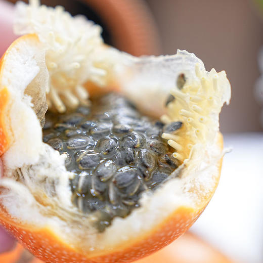 西双版纳热情果 商品图3