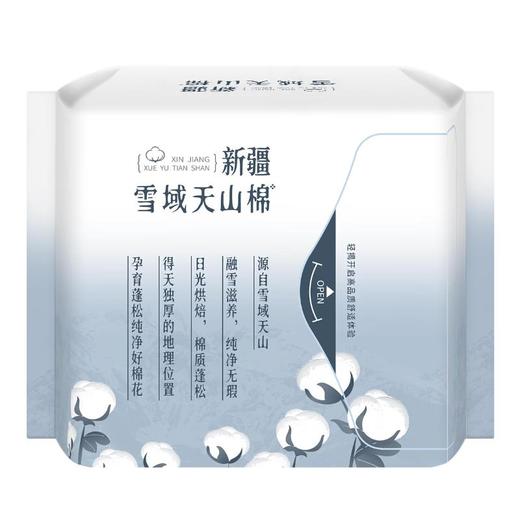 她研社雪域天山棉卫生巾迷你19 商品图1