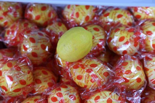 黄柠檬 商品图0